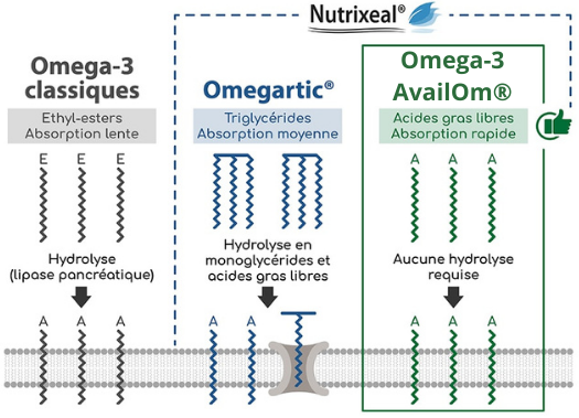 Des omega-3 vegan dans le Multivitamines Ixeaboost Multi premium